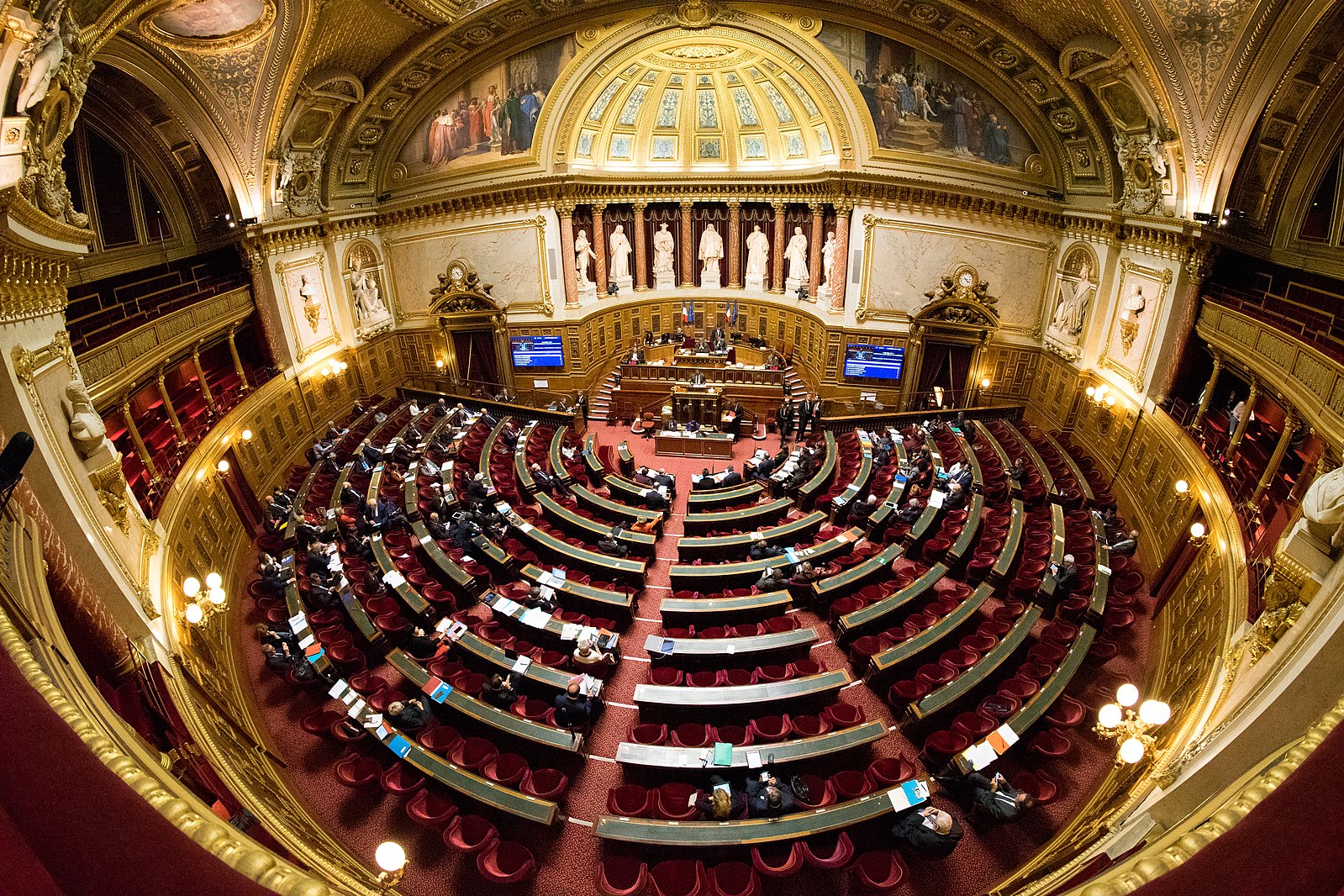 Daft Punk Sénat