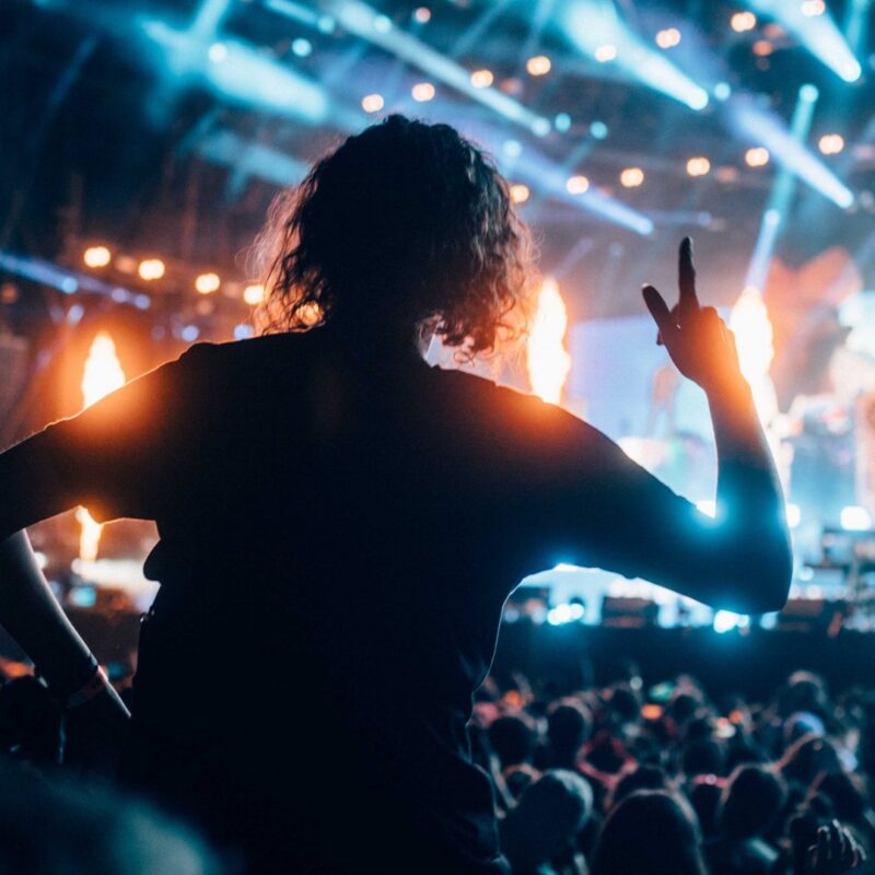 rock en seine culturebox live