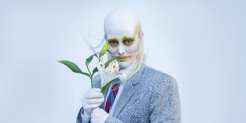 fever ray