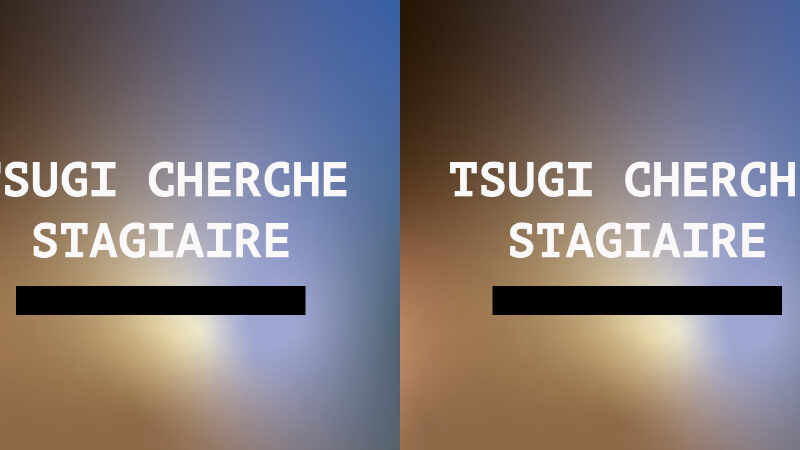 tsugi cherche stagiaire