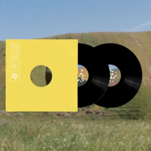 Leaving Records - Staying