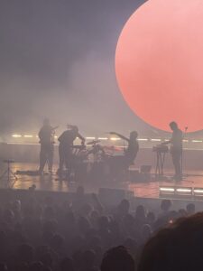 Caribou